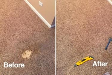 Pet Stains and Beyond: How to Tackle Tough Carpet Stains | DeVere